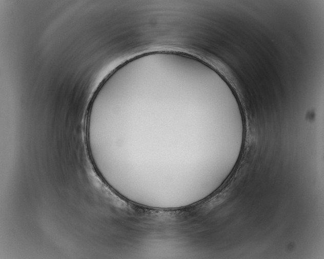 X0000115240958200911201617