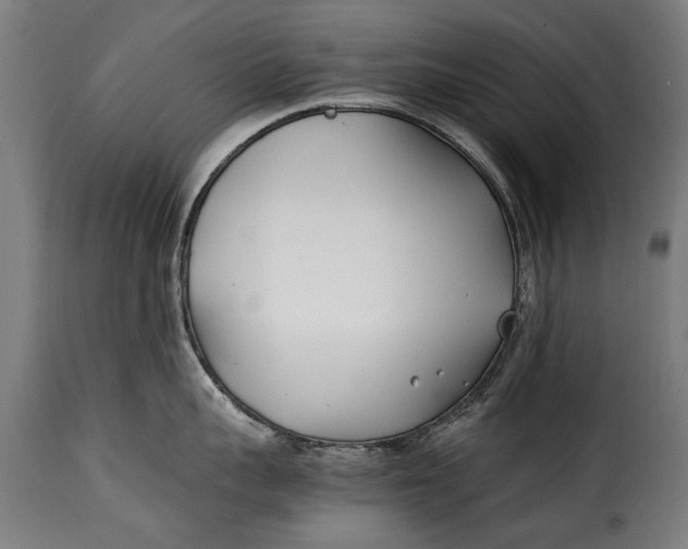 X0000115240959200911201617