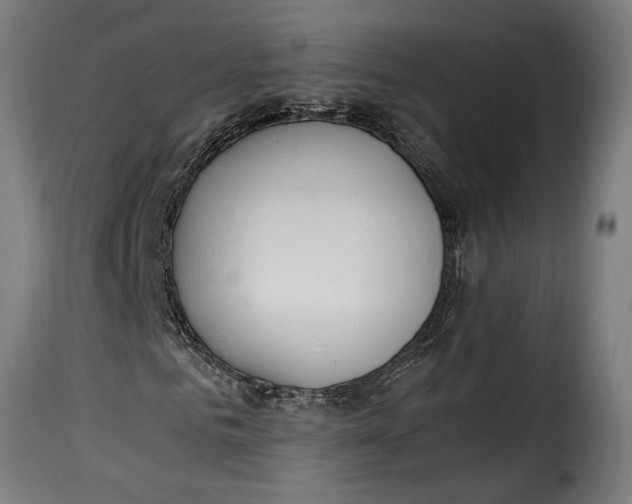 X0000115240961200911201617