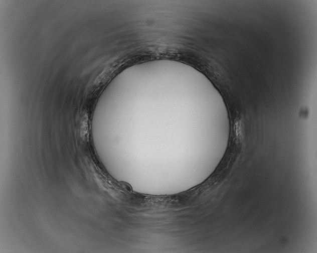 X0000115240963200911201617