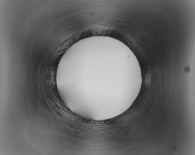 X0000115240964200911201616
