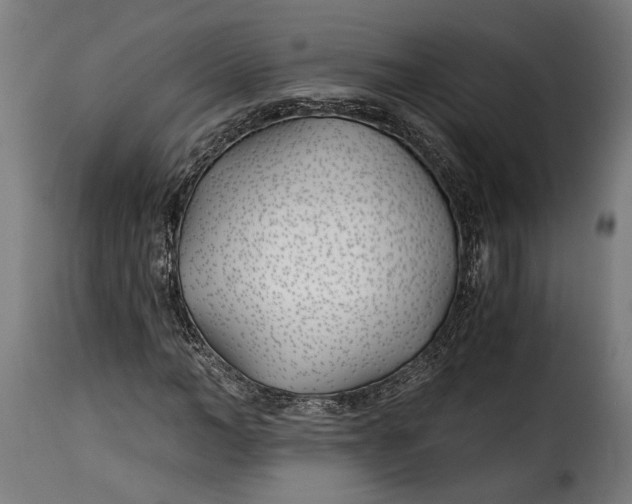 X0000115240966200911201616