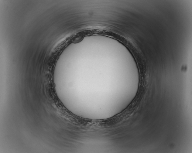 X0000115240967200911201616
