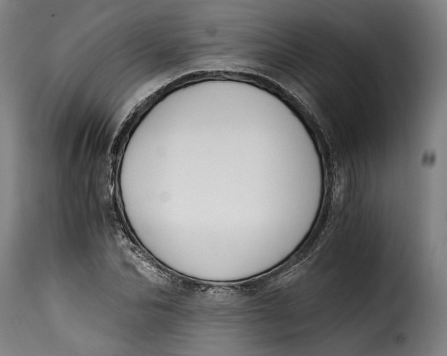 X0000115240974200911201616