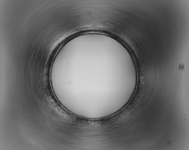 X0000115240975200911201616