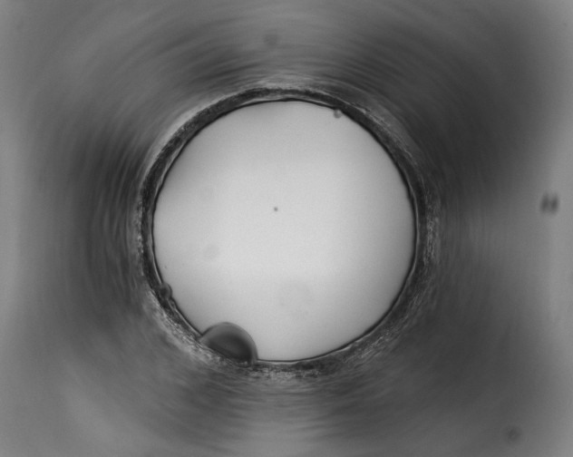 X0000115240976200911201616