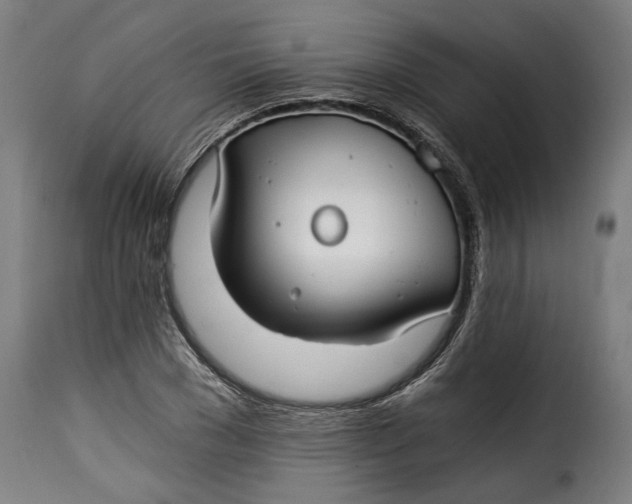 X0000115240977200911201616