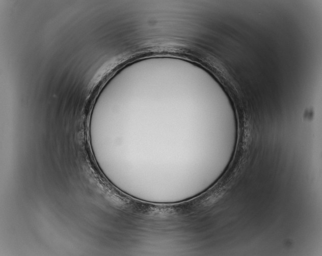 X0000115240978200911201616