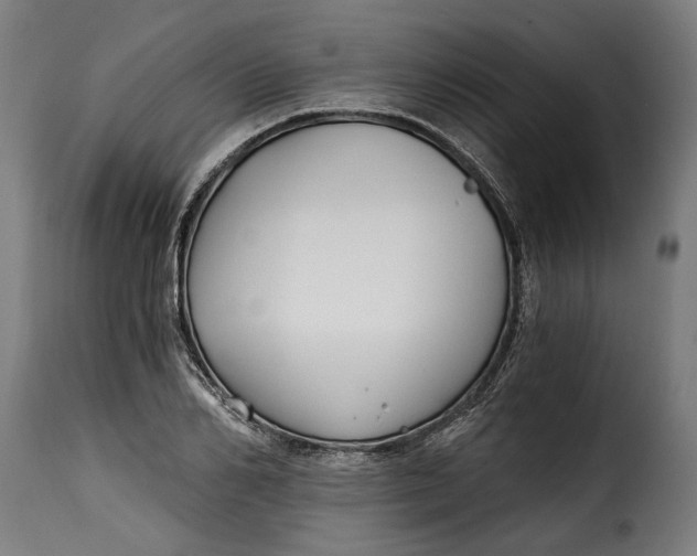 X0000115240982200911201616