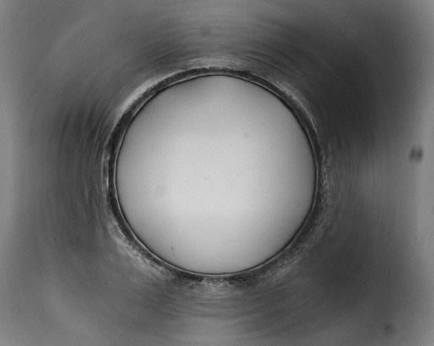 X0000115240983200911201616