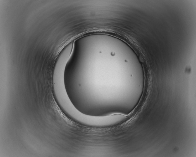 X0000115240985200911201616