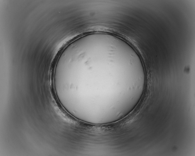X0000115240987200911201616