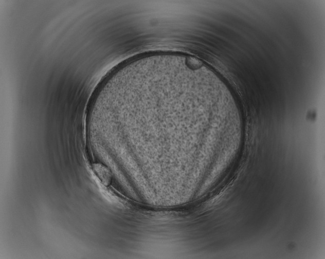 X0000115240988200911201616