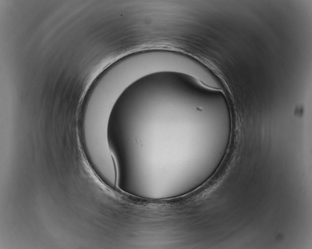 X0000115240989200911201616