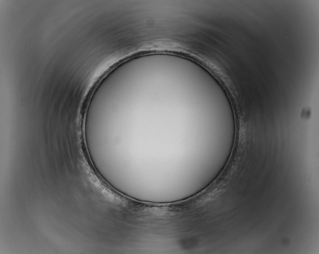 X0000115240990200911201616