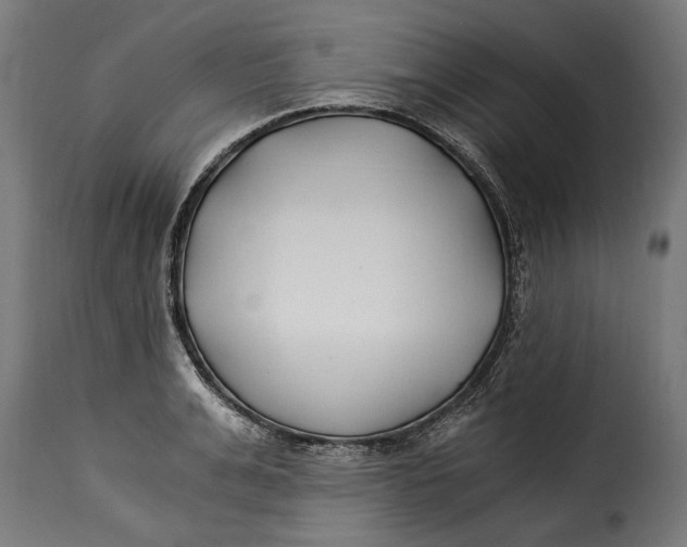 X0000115240991200911201616