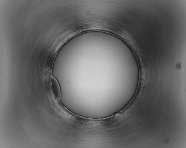X0000115240993200911201616