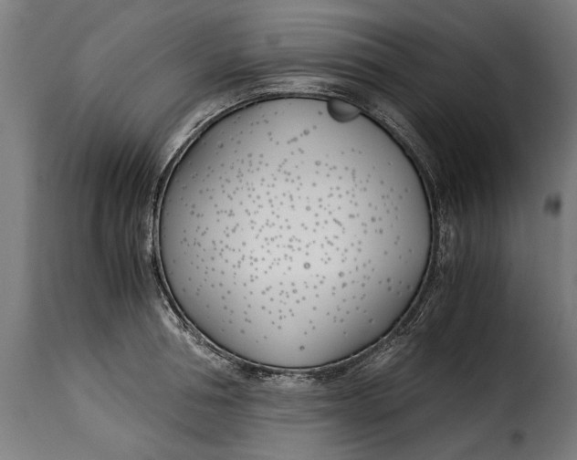 X0000115240994200911201616