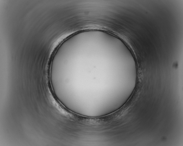 X0000115240995200911201616