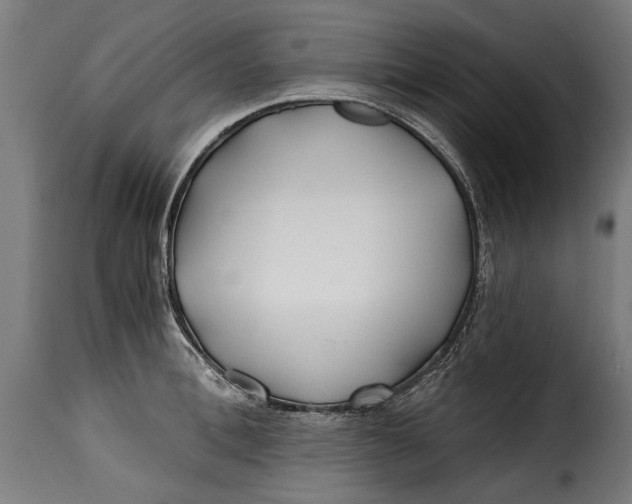 X0000115240996200911201616