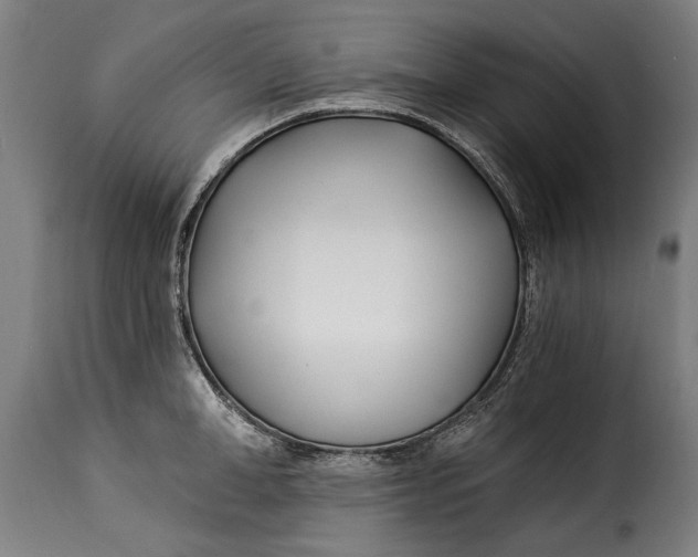 X0000115240998200911201616