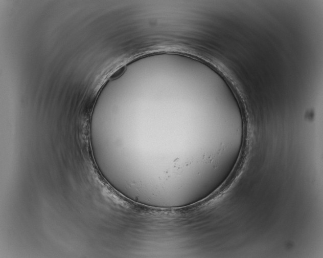 X0000115241001200911201616