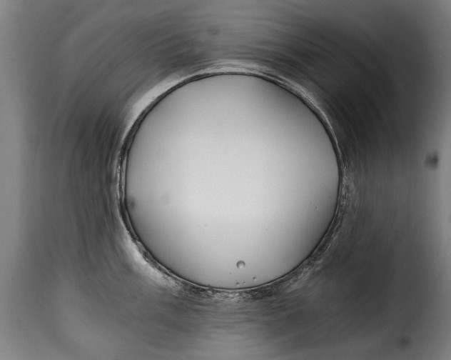 X0000115241003200911201616