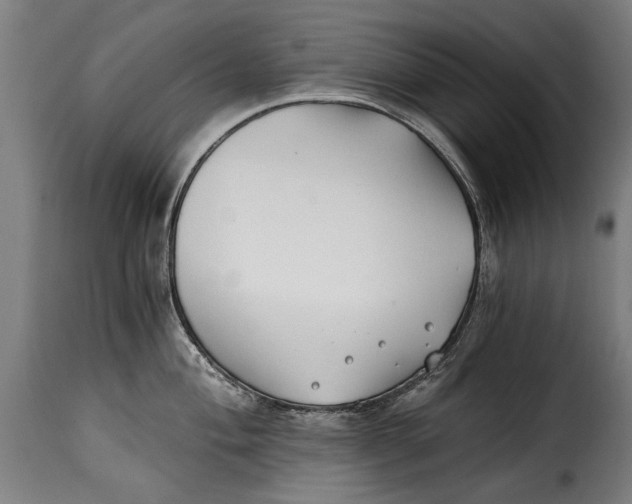 X0000115241004200911201616