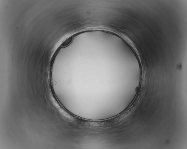 X0000115241005200911201616
