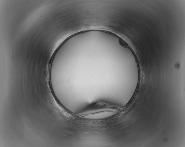 X0000115241006200911201616