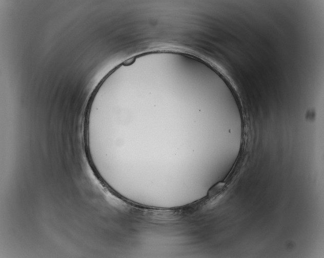X0000115241007200911201616