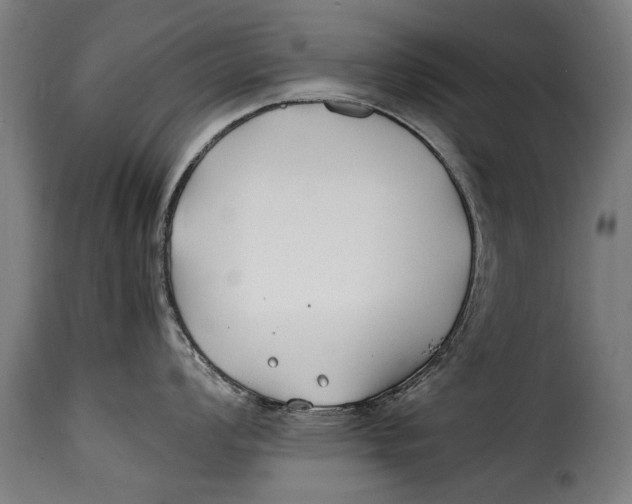 X0000115241008200911201616