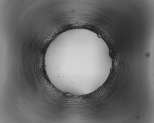 X0000115241012200911201615
