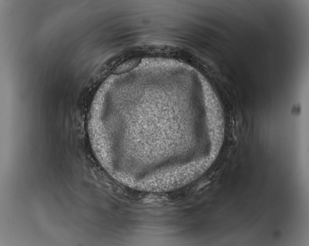 X0000115241013200911201615