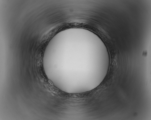 X0000115241014200911201615