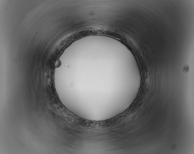 X0000115241016200911201615