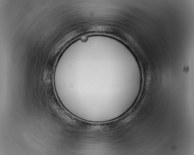X0000115241017200911201615