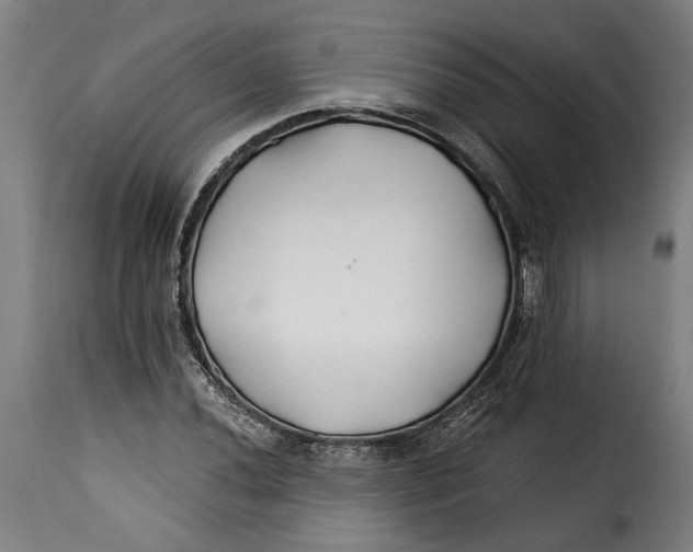 X0000115241020200911201615