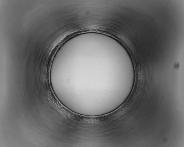 X0000115241023200911201615