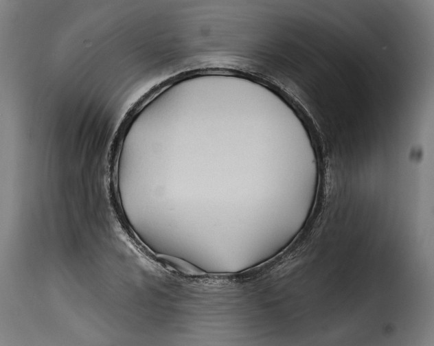 X0000115241024200911201615