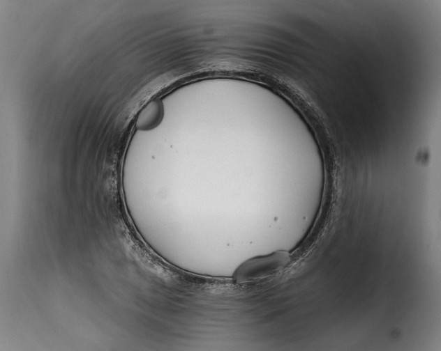 X0000115241025200911201615