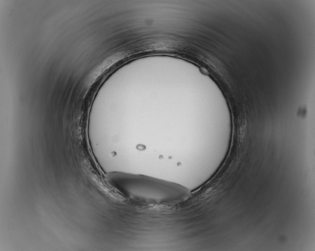 X0000115241026200911201615