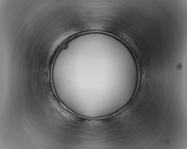 X0000115241027200911201615