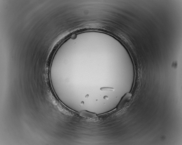 X0000115241029200911201616