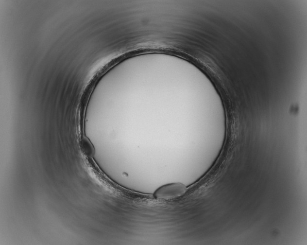 X0000115241030200911201616