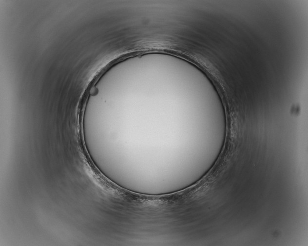 X0000115241031200911201616