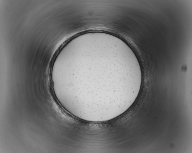 X0000115241032200911201616