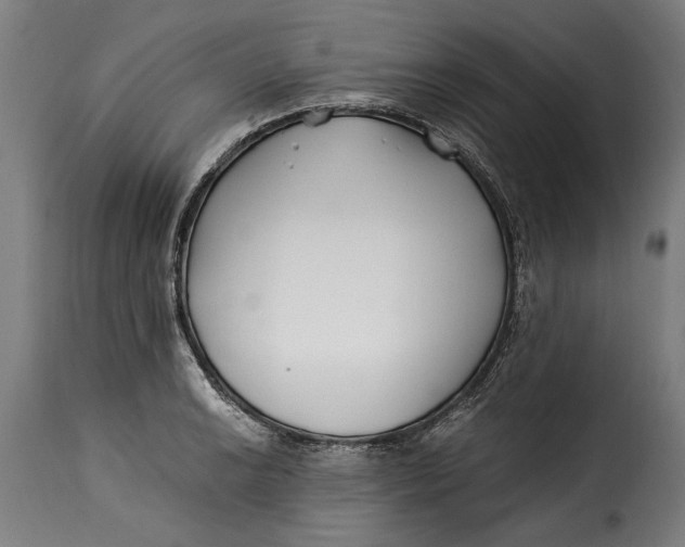X0000115241038200911201616