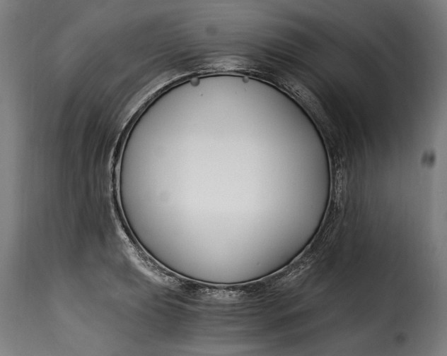 X0000115241039200911201616