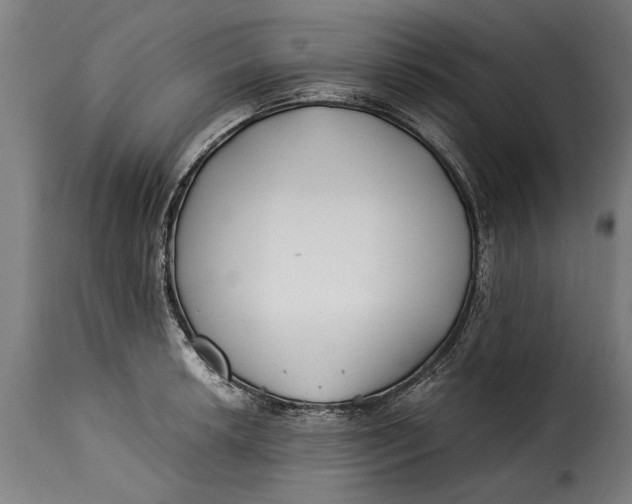 X0000115241042200911201616